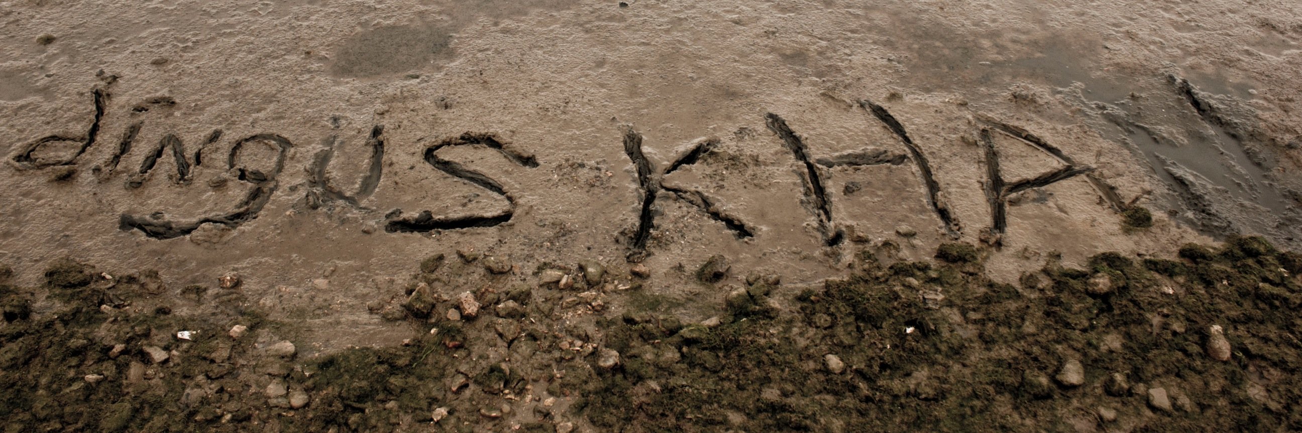 DingKhan's profile banner image