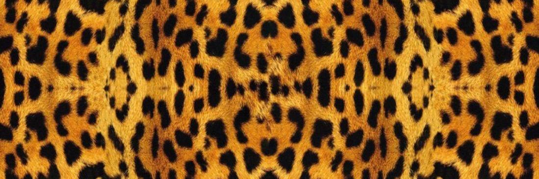 TigerFest's profile banner image