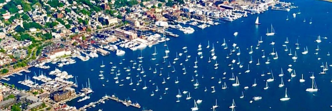 vanessa symmons banner