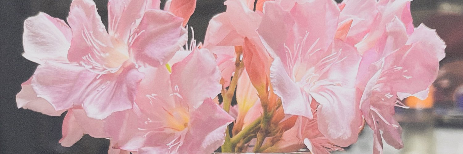 miely__'s profile banner image