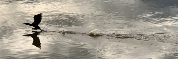 AnneHoutman Profile Banner