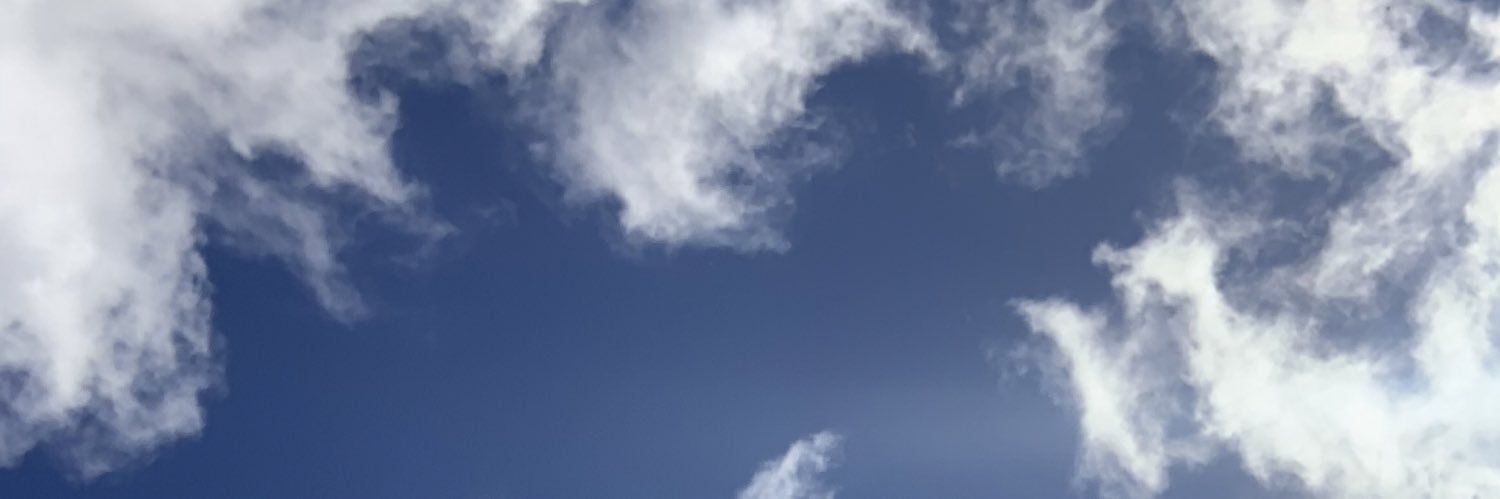 sarasison's profile banner image