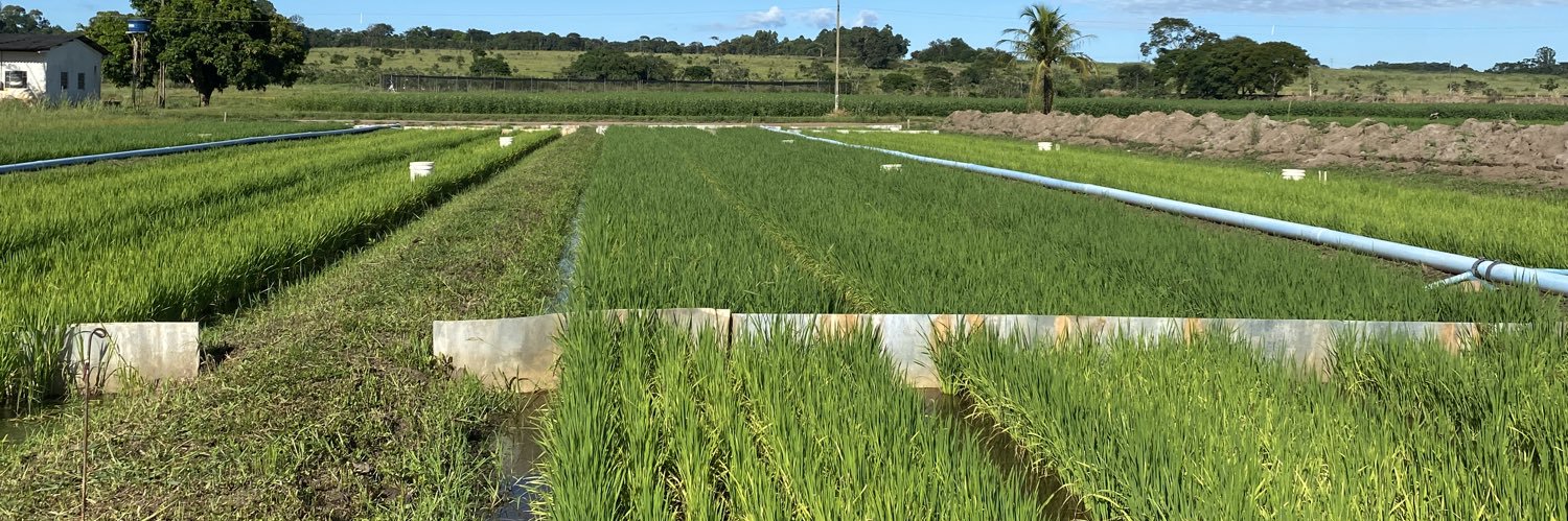 Mellissa A. Soler da Silva banner