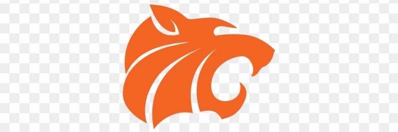 ChiBearCy's profile banner image