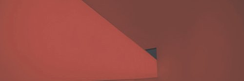 dancingflxwer's profile banner image