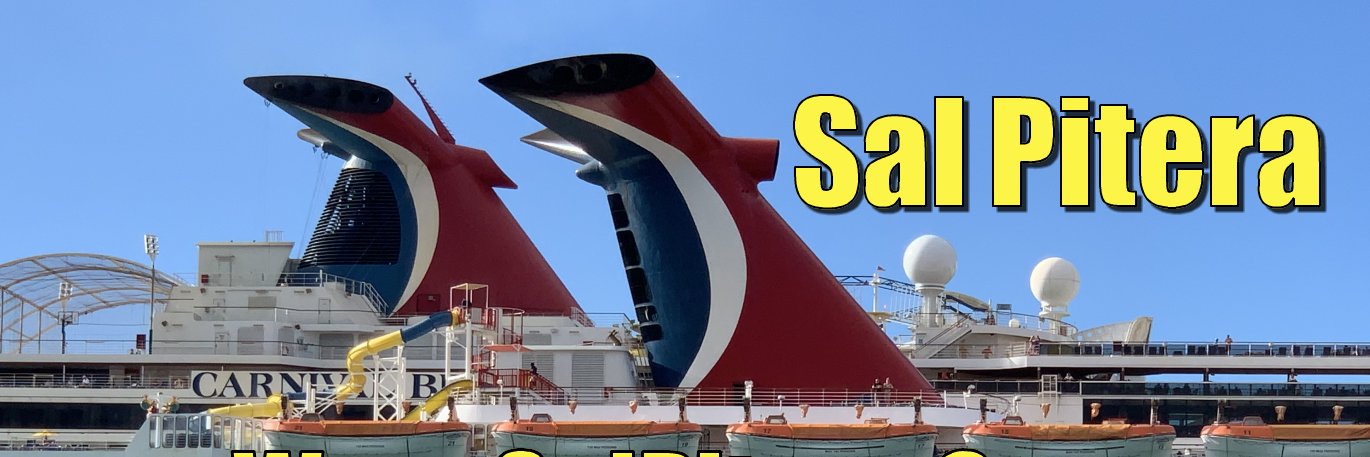 salpitera's profile banner image