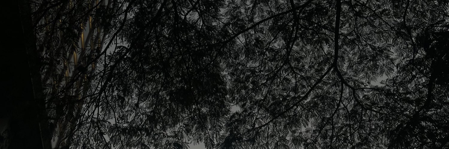 rrhashim's profile banner image