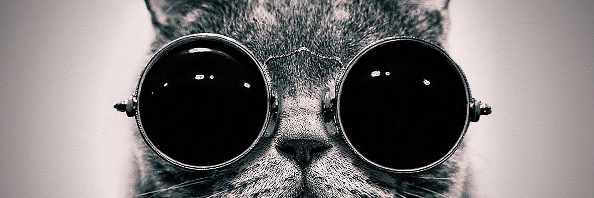 esyelizz's profile banner image