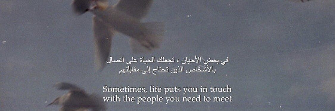 muhddanials's profile banner image