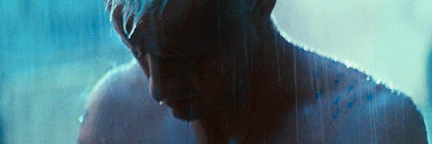 whizzr's profile banner image