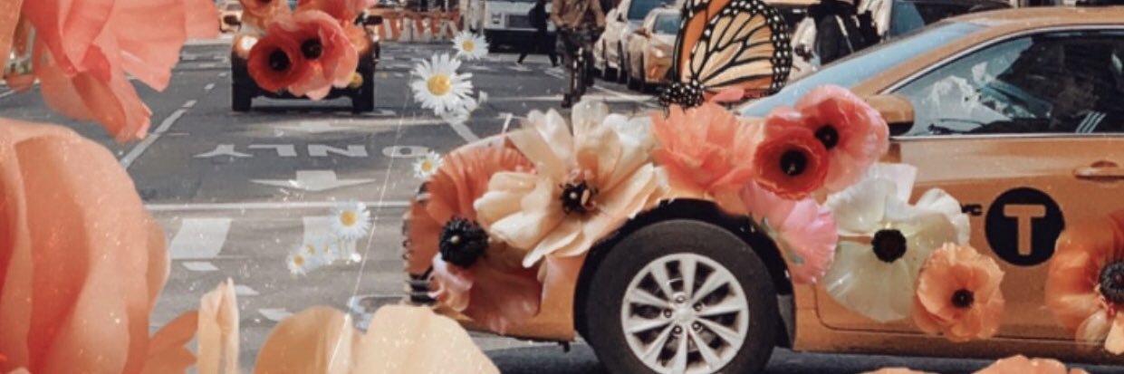 baileyedm's profile banner image