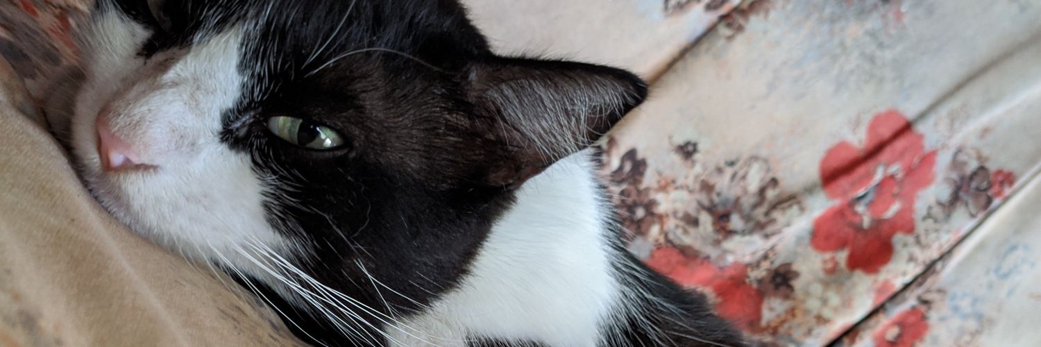 Carlos_JuniorD's profile banner image