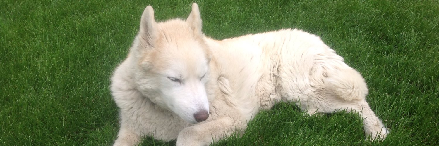 bobby_e's profile banner image