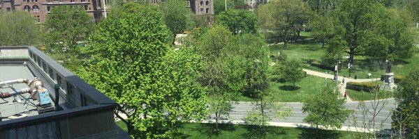 LisaDolovich Profile Banner