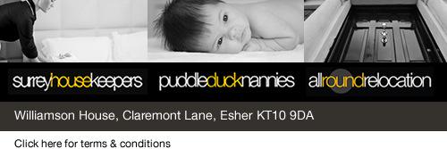 PuddleduckNanni's profile banner image