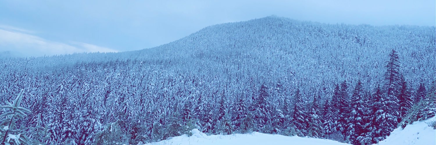 NicolisGrant's profile banner image