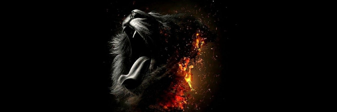 teetohmisin's profile banner image