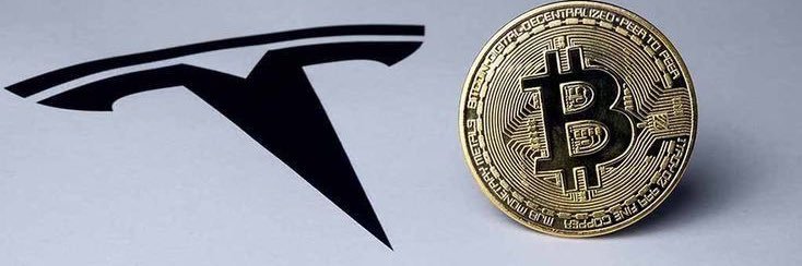 TeslaCapitalG's profile banner image