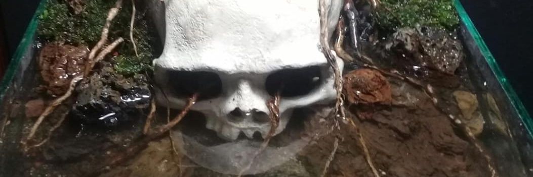 ScootBastard's profile banner image