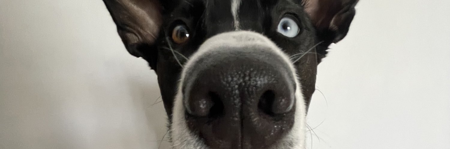 marioldinho2's profile banner image