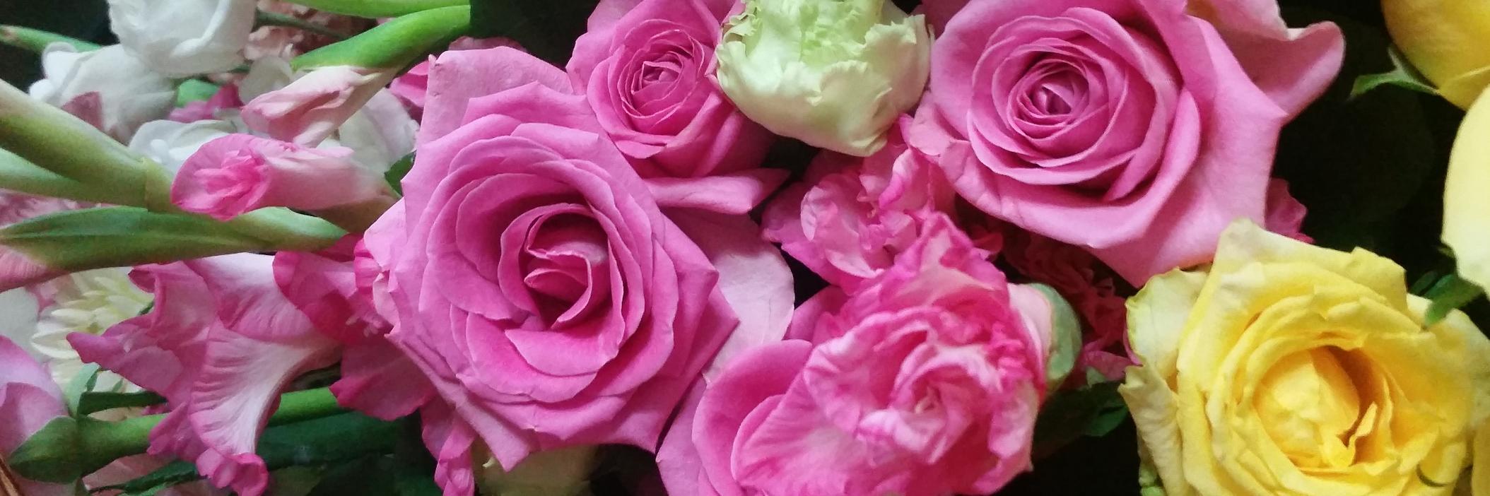 MsYoonHomeEc's profile banner image