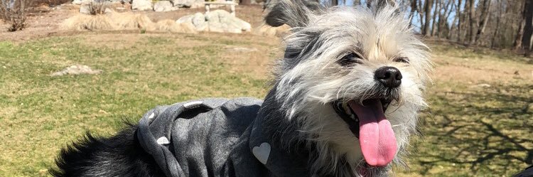 Chellie143's profile banner image