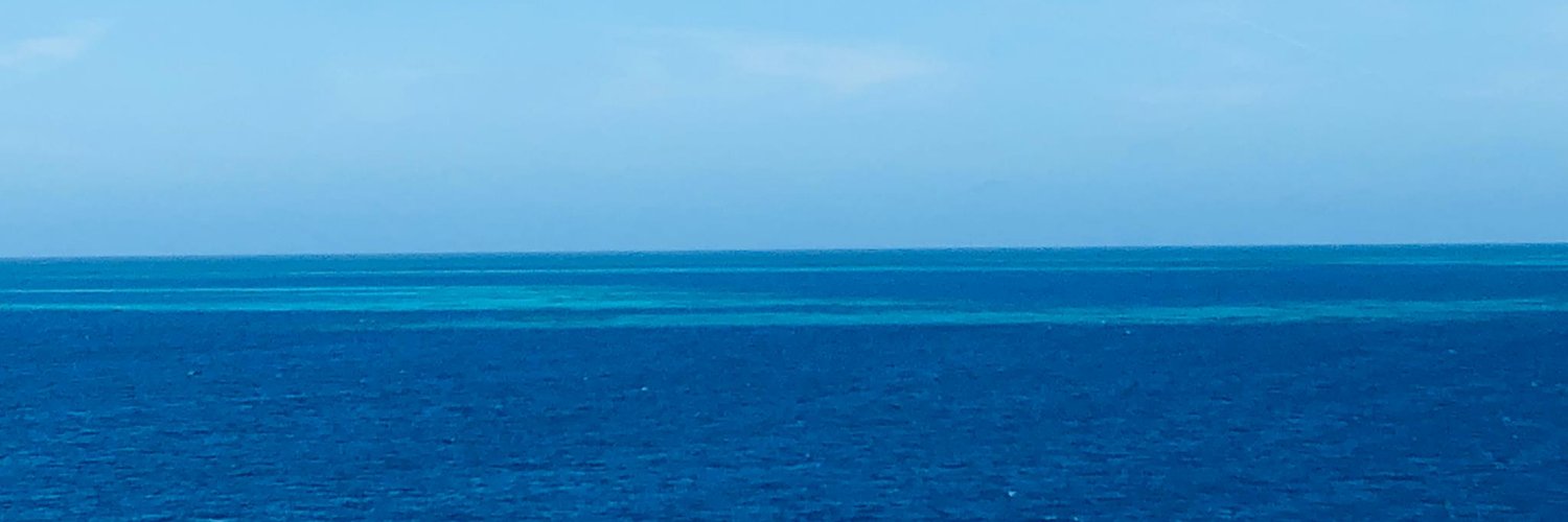 Amy Collins, FSMPS, CPSM banner