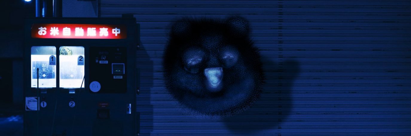 anomarity's profile banner image