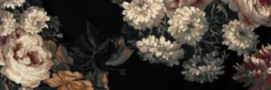 __Carson___'s profile banner image