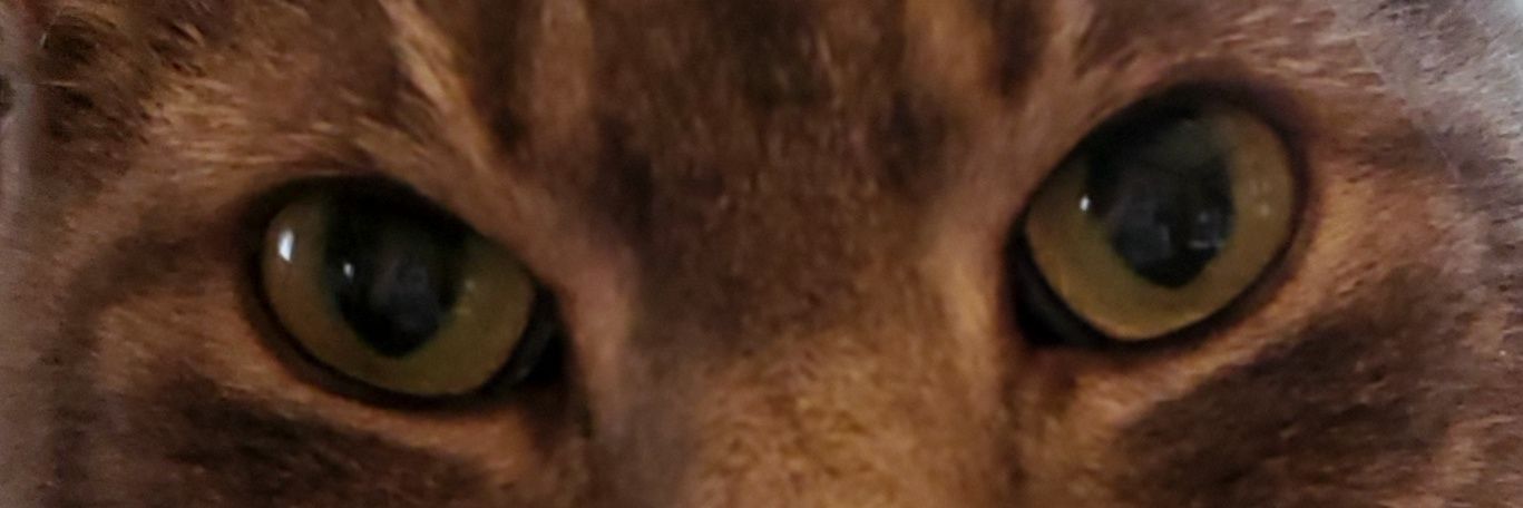 MellyG_46's profile banner image
