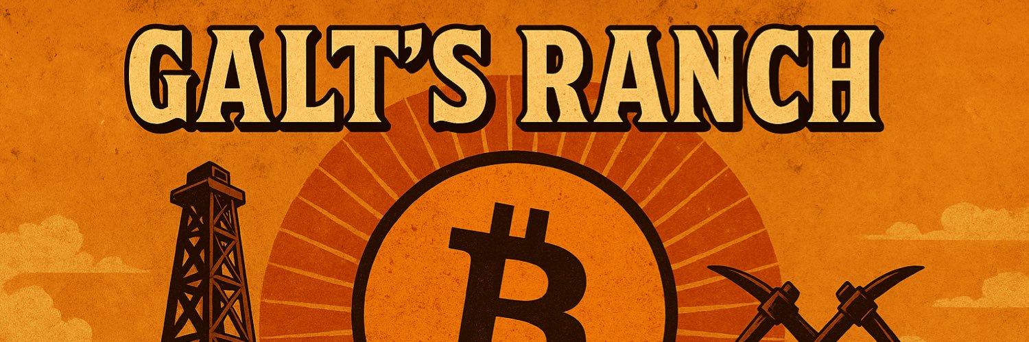 Curly60e ⛏️⛓️🐝 banner