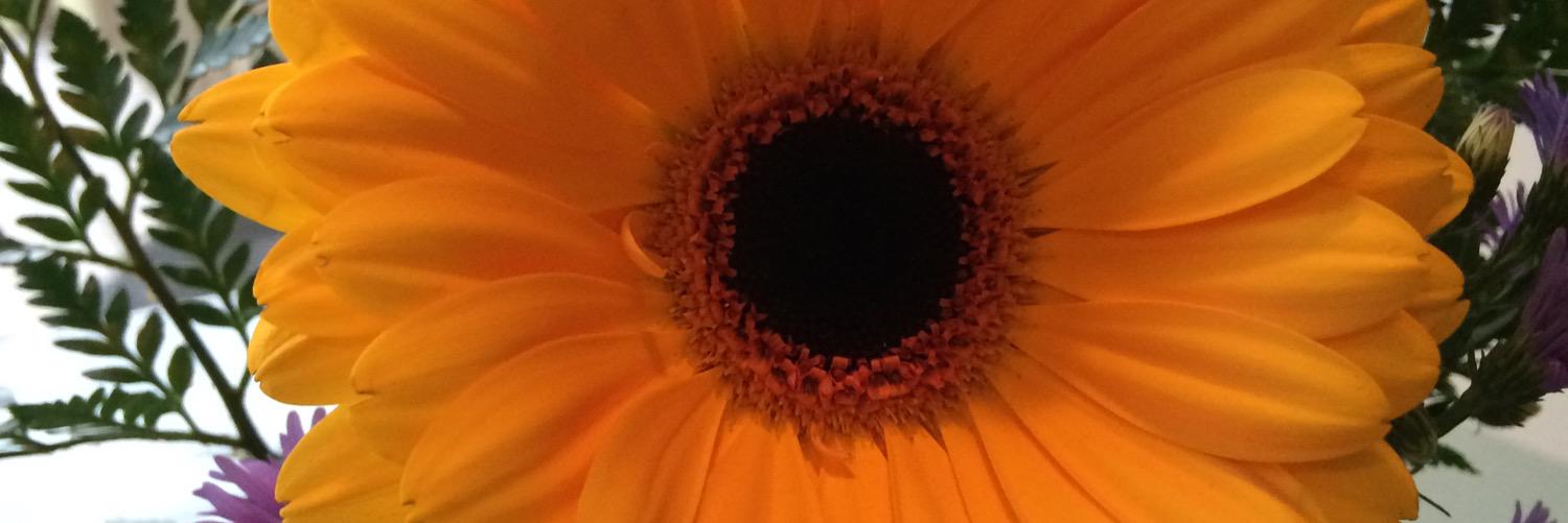 Cate193's profile banner image
