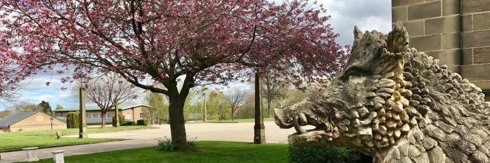St Mary's College banner