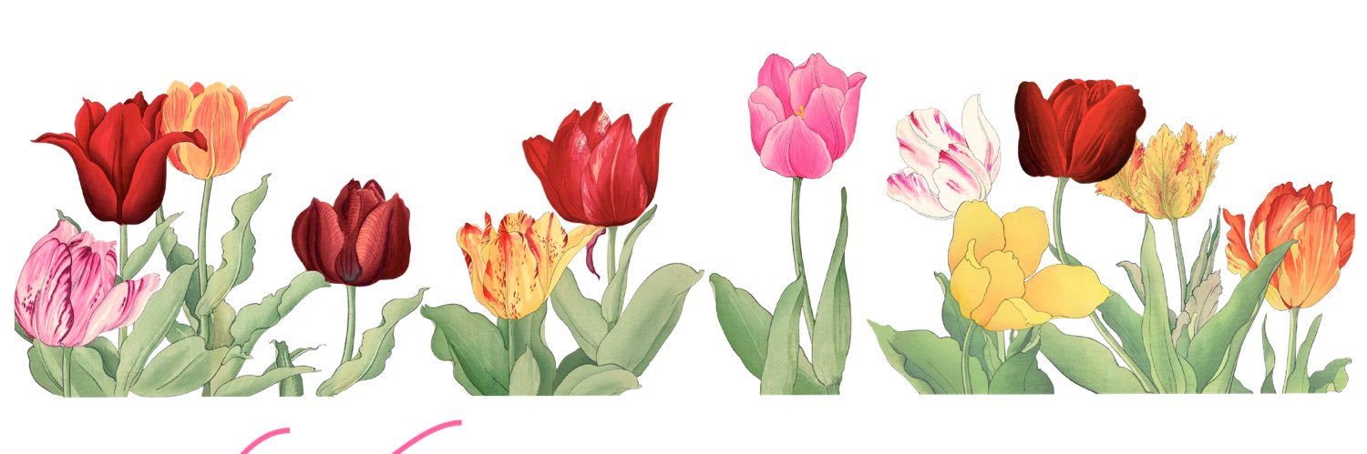 RobinlaFrank's profile banner image