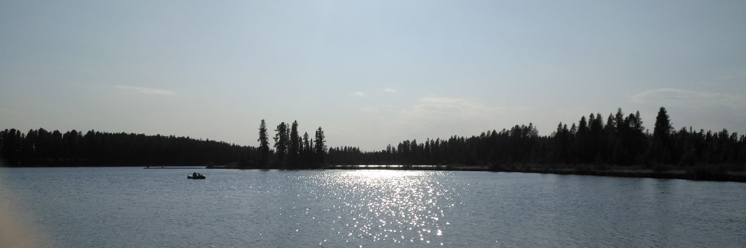 nilujk's profile banner image