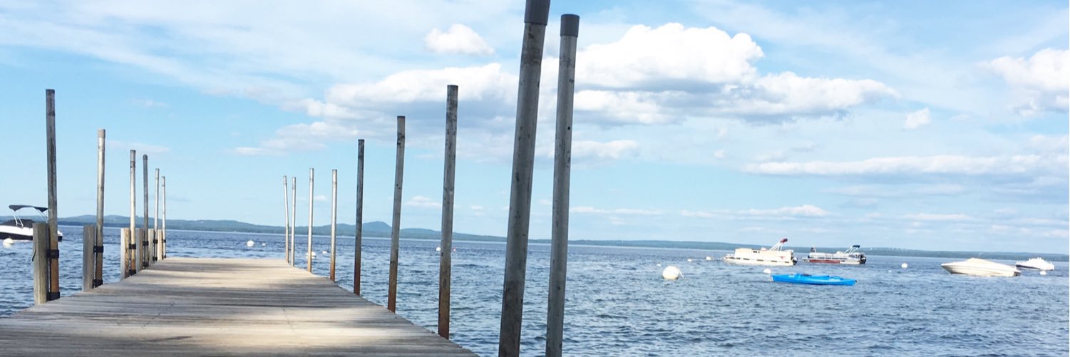 Aly Hamel banner