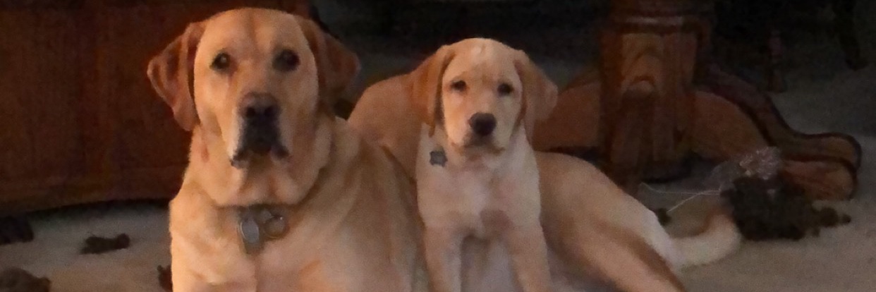 TRUTHFrank's profile banner image
