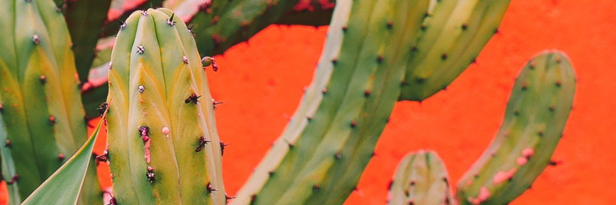 WheatSam14's profile banner image
