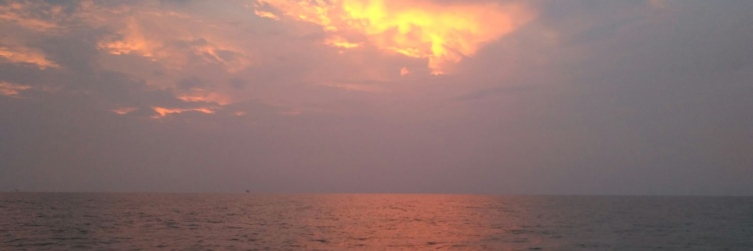 Aldoniyaa's profile banner image