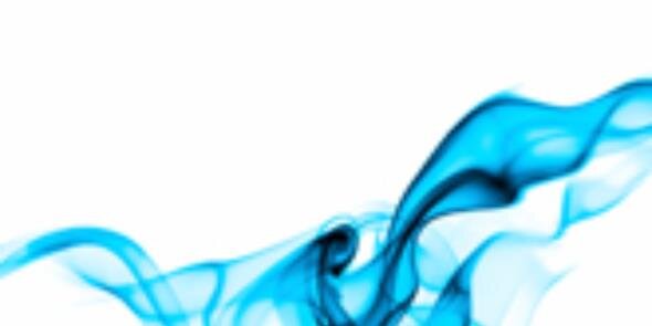 Juliet Bourke banner