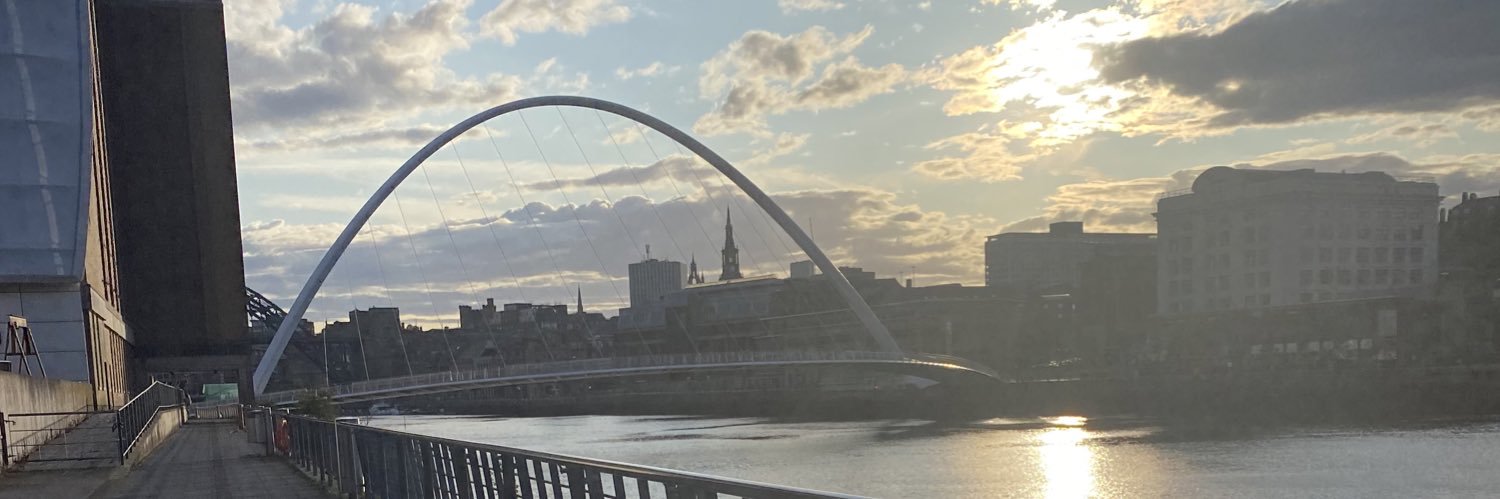 HarkerMiss's profile banner image