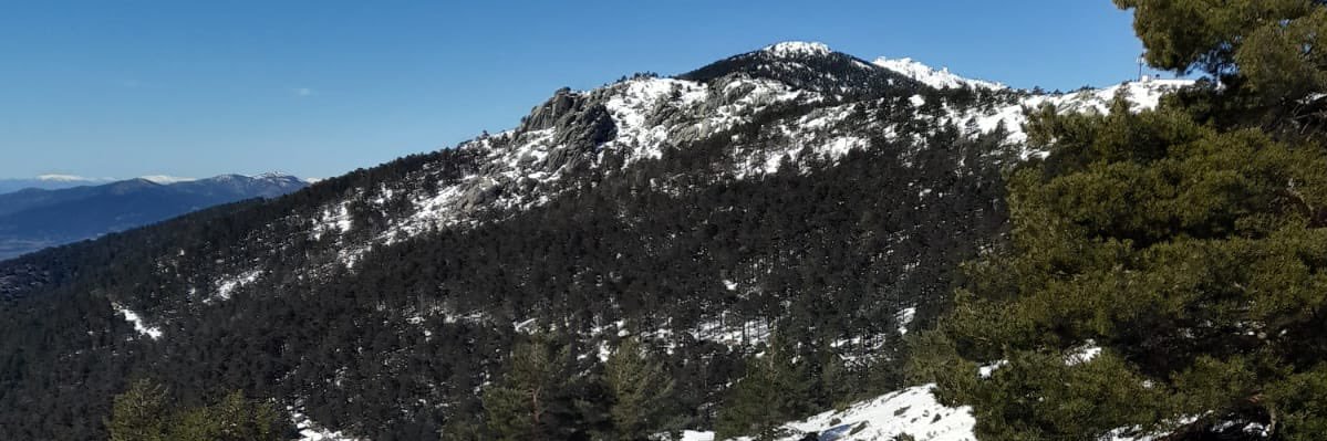 RequenaOrangel's profile banner image