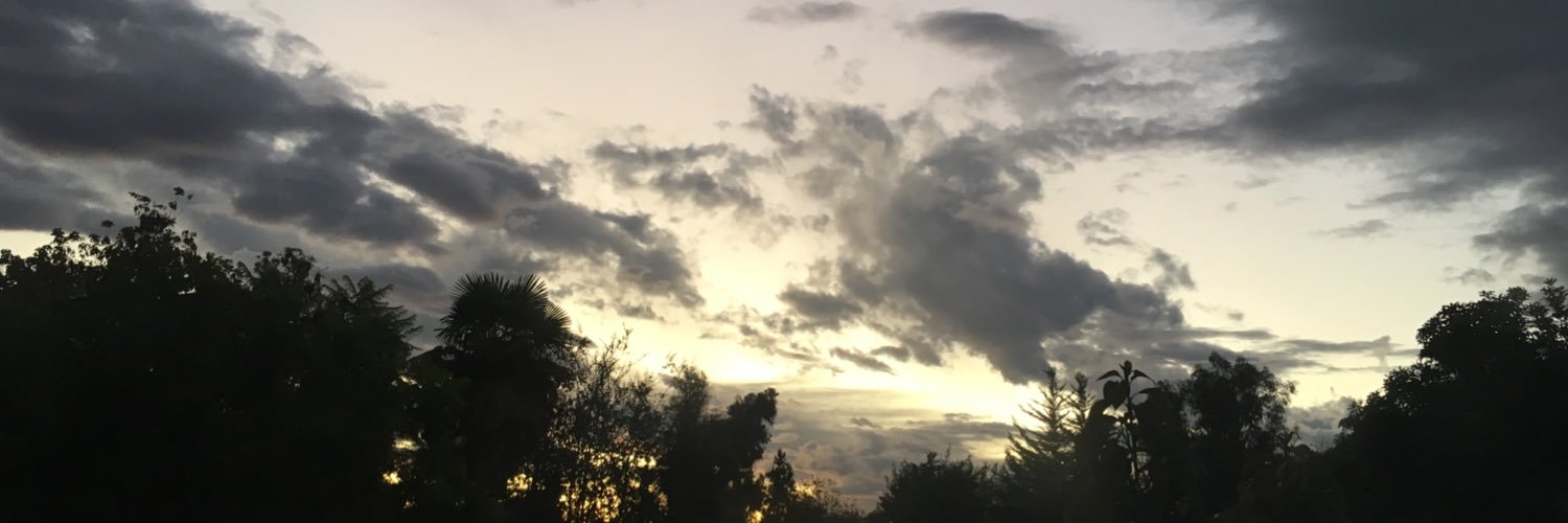 danipersico's profile banner image