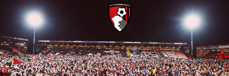 Amieborg23's profile banner image