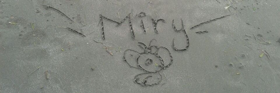 miry0392's profile banner image