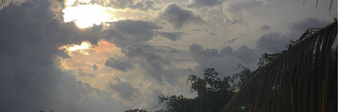 inesmenjivar's profile banner image