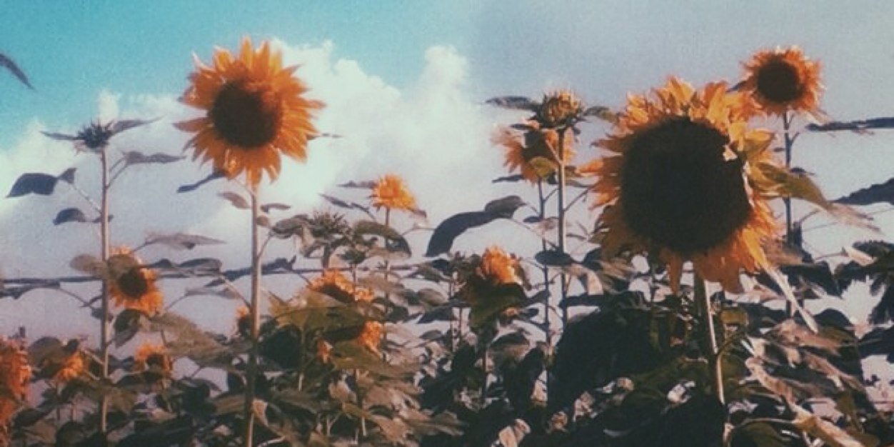 zuchri's profile banner image