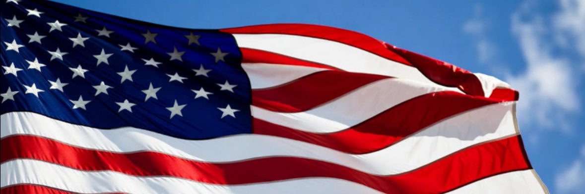 United States of Israel banner