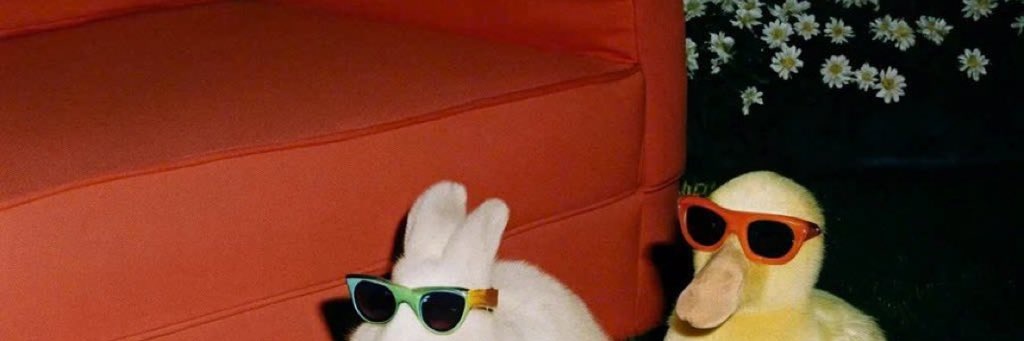 sofiatalia96's profile banner image