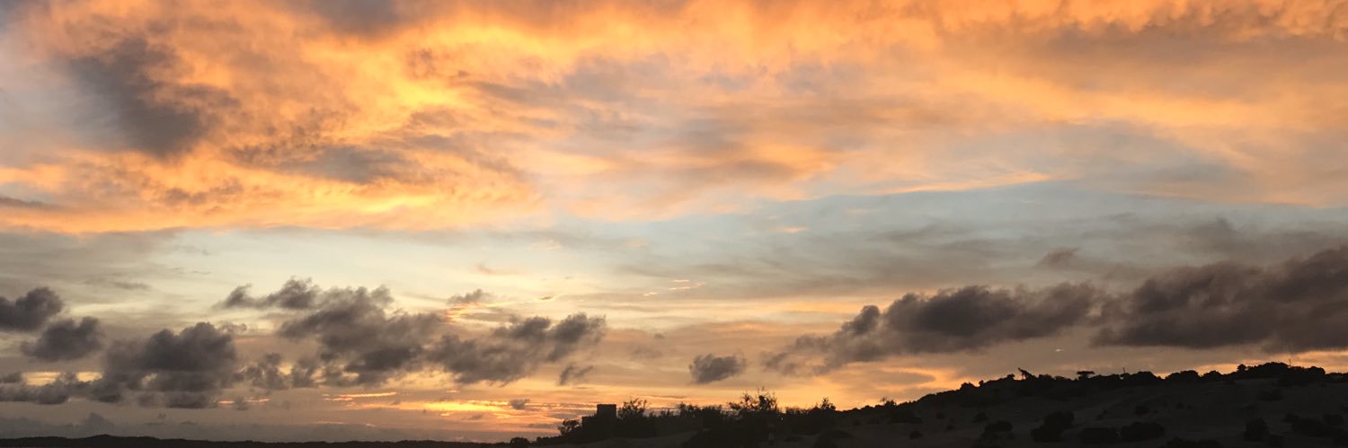 MsMuthoni's profile banner image